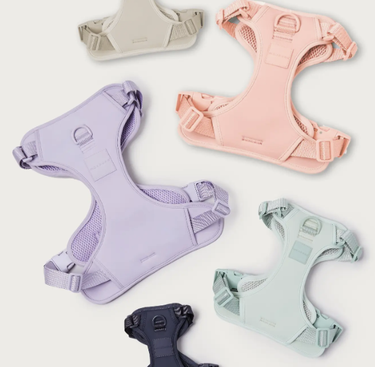 Maxbone - Double Panel Dog Harness