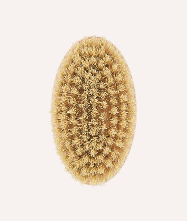 Cafide Smooth Hair Dog Brush | Teo