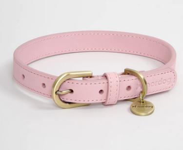 Nordog Collar Nubuck