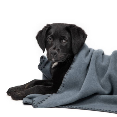 Cloud 7 Dog Fleece Blanket