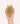 Cafide Smooth Hair Dog Brush | Teo