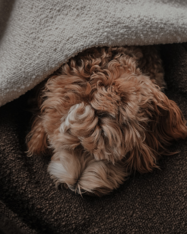 By Teddy - The Bouclé Blanket