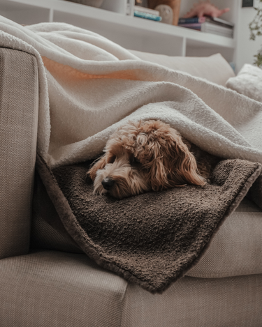 By Teddy | The Bouclé Blanket