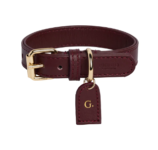 Perro Collection Collar