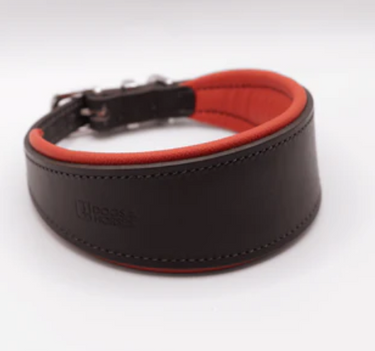 Dogs & Horses Hound Collar