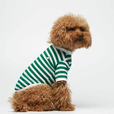 The Painter's Wife - Green Stripy Tee