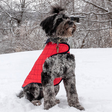Paco & Lucia | Munay Waterproof Dog Coat