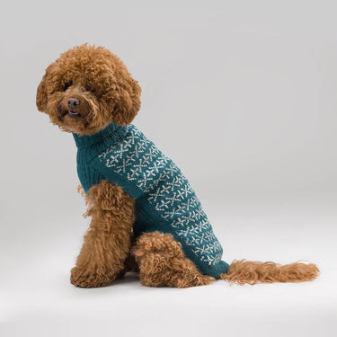 Alqo Wasi Signs Alpaca Dog Sweater