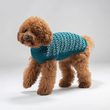 Alqo Wasi Signs Alpaca Dog Sweater