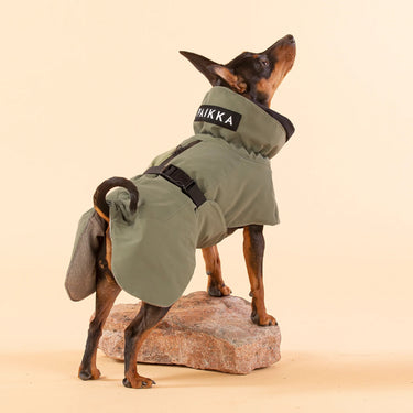 Paikka Dog Coat | Reflective