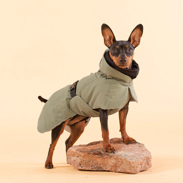 Paikka - Reflective Dog Coat