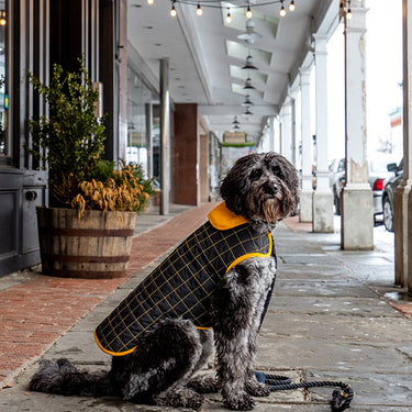 Paco & Lucia Yaku Reversible Dog Raincoat