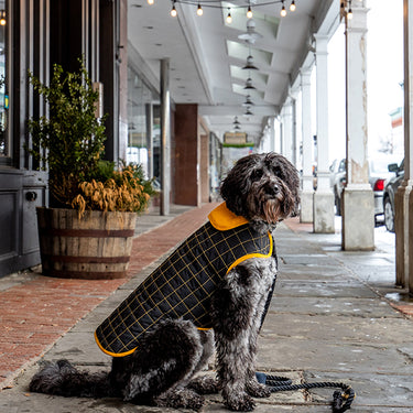 Yaku Reversible Dog Raincoat