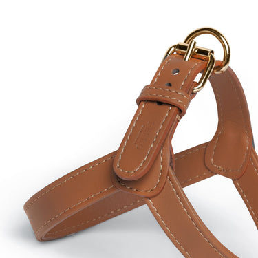 Perro Collection - Harness