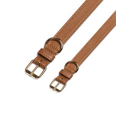 Perro Collection - Collar