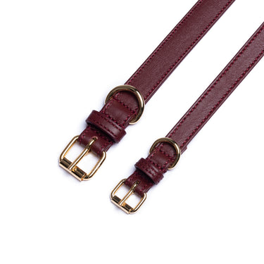 Perro Collection - Collar
