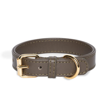 Perro Collection - Collar